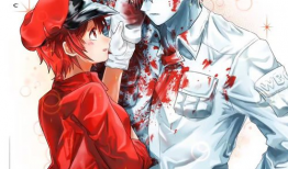 丧服妻动漫,穿越时空的守护与救赎